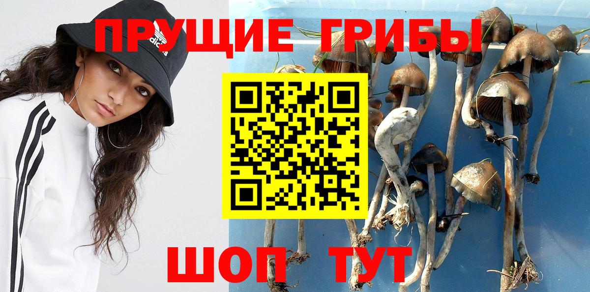 Псилоцибиновые грибы ЛСД  Вход с VPN  Каменск-Шахтинский  Псилоцибиновые грибы Psilocybe 